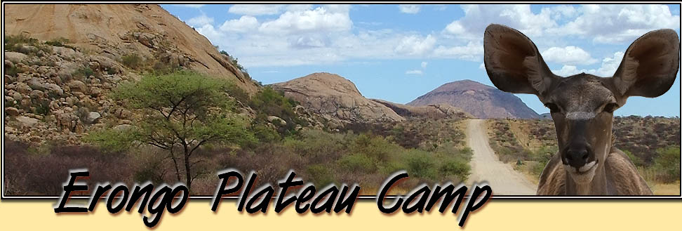 Auf Pad in den Erongo